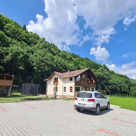 Pensiune Subcrai Cu Centru Spa Zarnesti Exterior foto
